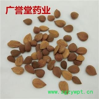 杏仁 苦杏仁 统货 产地 河北省图3