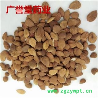 杏仁 苦杏仁 统货 产地 河北省图4