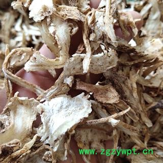 当归 当归 统 全归片 过粉0.2筛 正品好货 批发各种中药材 产地 甘肃省陇南市市辖区图2