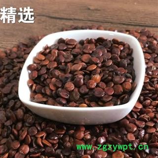 酸枣仁 炒 炒酸枣仁 产地 进口图2