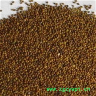 菟丝子 统 产地 宁夏回族自治区石嘴山市图2