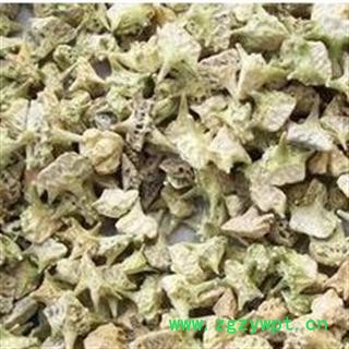 白蒺藜 统 产地 内蒙古自治区图3