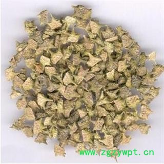 白蒺藜 统 产地 内蒙古自治区图2