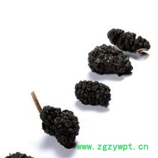 桑椹 优 产地 安徽省亳州市谯城区 双鹏药材行 可提供打粉图3