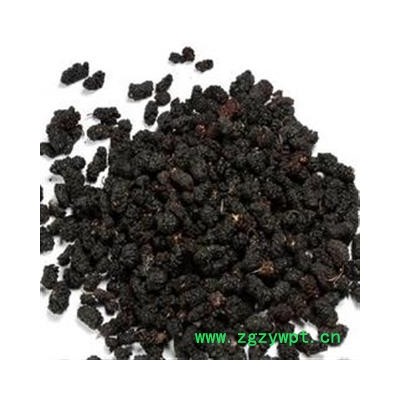 桑椹 优 产地 安徽省亳州市谯城区 双鹏药材行 可提供打粉