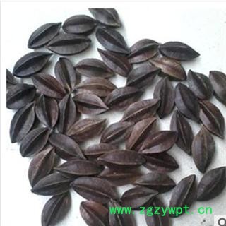 使君子 统 产地 四川省内江市市辖区图2