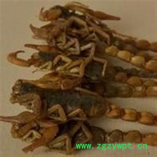 玄参   元参 玄参斜片大片  产地 湖北省武汉市市辖区图3