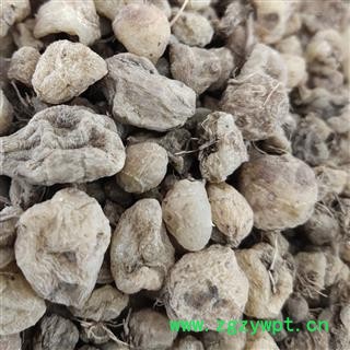 丽江山慈菇 丽江山慈菇统货 产地 云南省昭通市图4