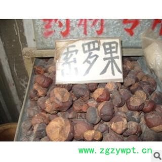 娑罗子苏罗子、棱罗子、开心果 统 产地图3