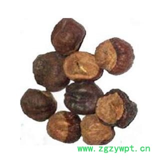 娑罗子苏罗子、棱罗子、开心果 统 产地图2