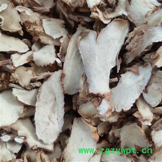 知母  知母片 光知母大片 新货 包含量 产地 河北省邢台市图2