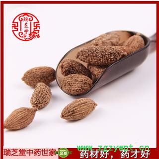 砂仁选货 云南砂仁 药典正品 中药材 瑞芝堂产地直供1000克 规格齐全 一站购齐图4