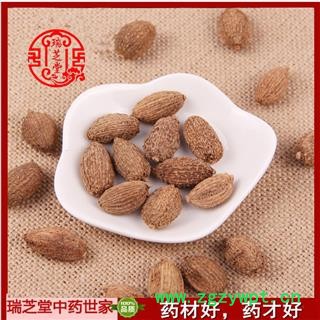 砂仁选货 云南砂仁 药典正品 中药材 瑞芝堂产地直供1000克 规格齐全 一站购齐图2
