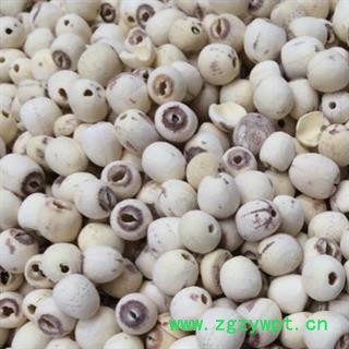 莲子 统 产地 湖南莲子 中药材莲子 白莲子空心磨莲 安国市场批发零售大全图2