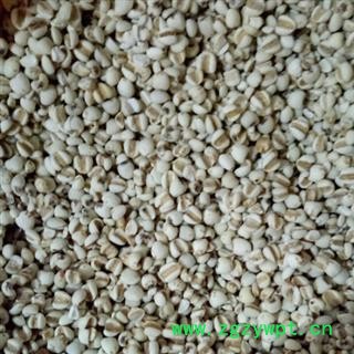 中药材薏苡仁 贵州薏苡仁   小粒薏苡仁  98薏苡仁图2