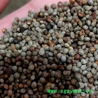 中药材油酥子 紫苏子 地道药材 手工甄选干净无杂 颗粒饱满 无硫新货无添加 安国中药材批发零售大全图3