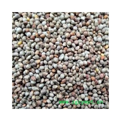 中药材油酥子 紫苏子 地道药材 手工甄选干净无杂 颗粒饱满 无硫新货无添加 安国中药材批发零售大全