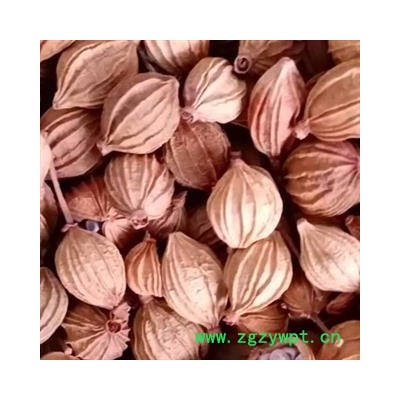 中药材香砂 川沙 仁香砂 本品是纯天然 无添加无硫熏 无农药 无防腐 自然风干 绿色无添加更健康 安国中药材批发零售大全