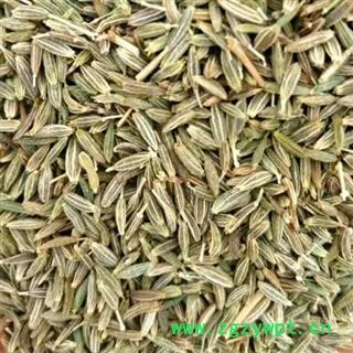 中药材孜然药食两用 孜然净货新货 孜然颗粒精挑细选去除残杂 自然晒干均匀干燥 安国中药材批发零售大全图3