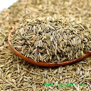 中药材孜然药食两用 孜然净货新货 孜然颗粒精挑细选去除残杂 自然晒干均匀干燥 安国中药材批发零售大全图2