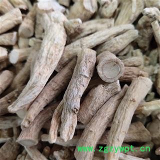西洋参 西洋参 长支 剪口 0.8左右关书药业 产地 吉林省通化市市辖区图3