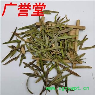 三尖杉 统货 产地 贵州省图2