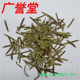 三尖杉 统货 产地 贵州省图4