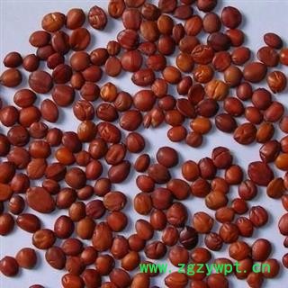 酸枣仁 02国产酸枣仁 精选 产地 山东省图2