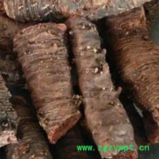 红景天 精选一级 红景天 个 圆柱状 去炉头 产地 西藏自治区日喀则市图2