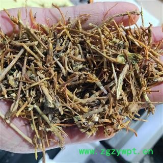 北龙胆草 南龙胆水洗去芦头 切断  产地 云南省昆明市东川区图2