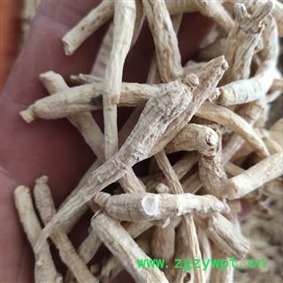 西洋参 西洋参支支4-8g 药方专用产地 吉林省吉林市图2