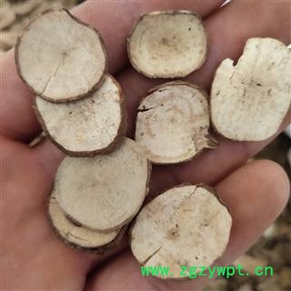 天台乌药 粉质乌药 过筛无粉沫 质量好 产地 广西壮族自治区桂林市图2