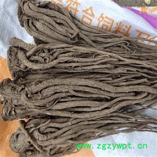 当归 个子 无硫 无粉末 一棵树  产地 甘肃省定西市陇西县图2