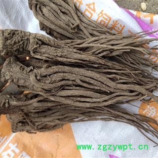 当归 个子 无硫 无粉末 一棵树  产地 甘肃省定西市陇西县图3