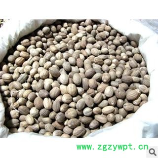 肉豆蔻 统 产地 海南省海口市市辖区图2