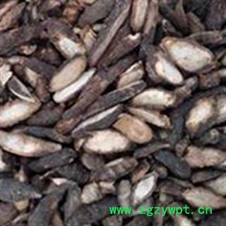 香附 光香附选个0.7 产地 海南省海口市图3