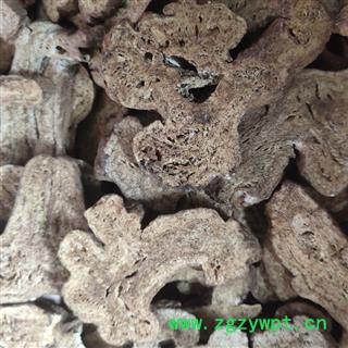 白术 麸炒安国白术 纯干 清炒 产地 安徽省亳州市图3