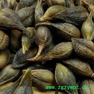 连翘 青翘水煮（汽蒸）统货 产地河南省 批发连翘安国市场批发零售大全图2