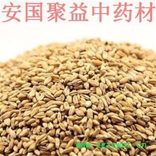 浮小麦 浮小麦净货 产地 河北省图2