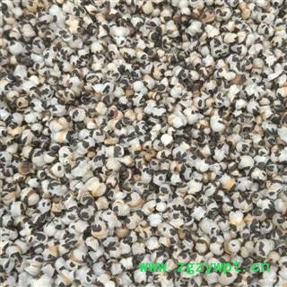 中药材王不留行 别名奶米、王不留、老头蓝子产地河北 品种齐全图2