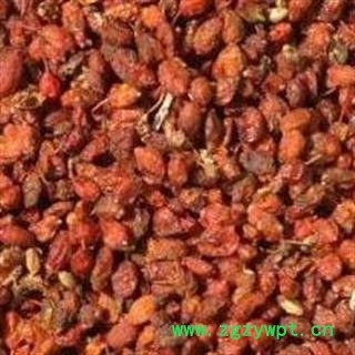 中药材沙棘 批发新疆沙棘 干果 沙棘果 沙棘子非内蒙沙棘 保证正品 安国市场批发零售大全图2