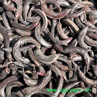 中药材正品野生猪牙皂 小皂角非大皂角 牙皂 新货无虫眼 河北产猪牙皂 安国中药材批发零售大全图3