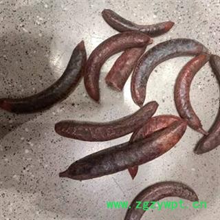 中药材正品野生猪牙皂 小皂角非大皂角 牙皂 新货无虫眼 河北产猪牙皂 安国中药材批发零售大全图2