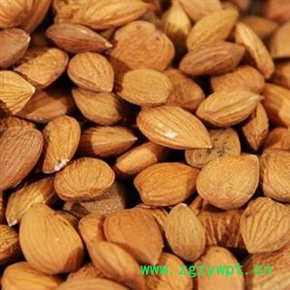 中药材苦杏仁 甜杏仁 北杏仁 带皮杏仁 产地河北安国市场批发零售大全图2