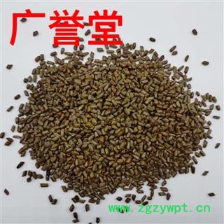 决明子 选货 产地 河南省图4