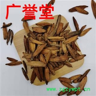 喜树果 统货 产地 四川省图4