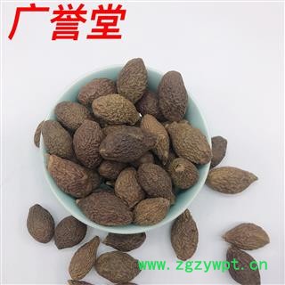 胖大海 统 产地 广西壮族自治区图2