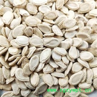 冬瓜子 双边冬瓜子统货 产地 山东省图2