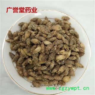 苍耳子 苍耳子后期黄褐色选货 产地 安徽图3