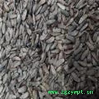 《满198包邮》牛蒡子 牛蒡子 牛蒡子净货 过风车货 地道药材 产地 四川省图2